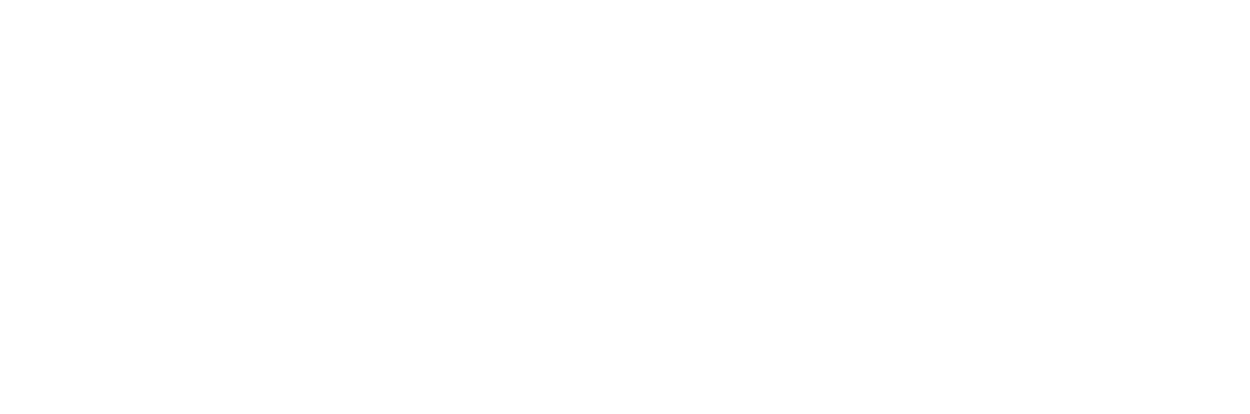 DOLAN GmbH